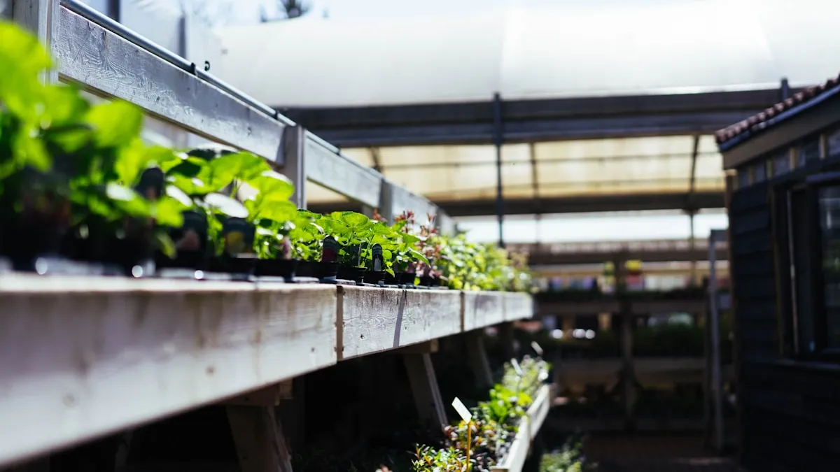 5 légumes à semer en avril pour récolter dès juin